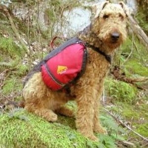 kelty dog backpack